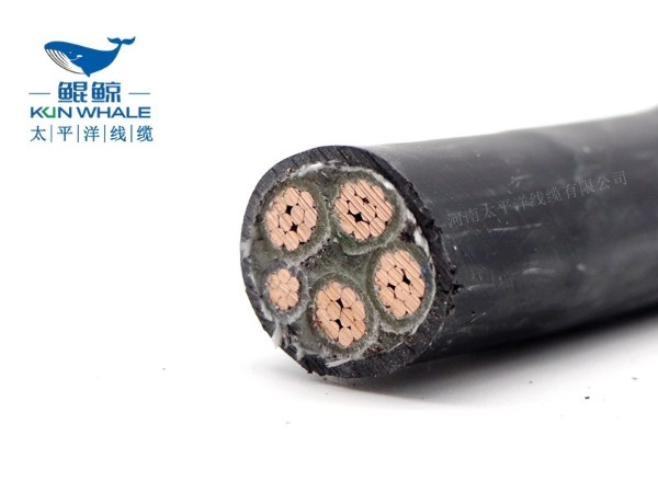 低煙無鹵電纜應(yīng)用在哪些場(chǎng)所你知道嗎？