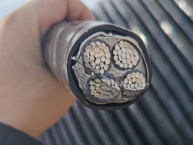 鎧裝電纜價(jià)格比普通電纜的貴憑什么？